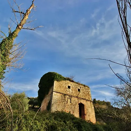 Rural Vinas