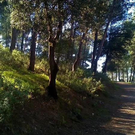 Rural Vinas Holiday home Torredonjimeno